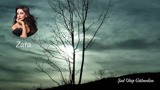 Şad Olup Gülmedim / Zara