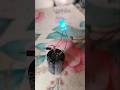 इलेक्ट्रिक एक्सपेरिमेंट RGB LED#song #electrical #experimnent #cyberg #shortvideo👍♥️♥️