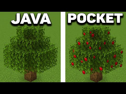 Java vs Pocket