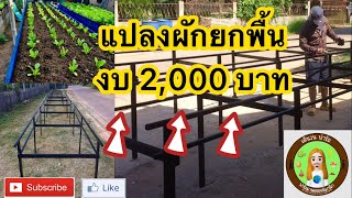 ทำแปลกผักแบบยกพื้นด้วยงบ 2,000 บาท พร้อมเทคนิคการประกอบ