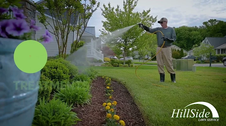 HillSide Lawn Service: Tree and Shrub Insect and Disease Control Application