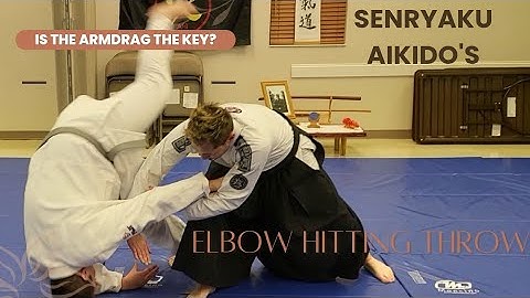 Senryaku Aikido