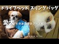 愛犬とのお出掛けグッズの紹介「ドライブベッド」＆「スリングバッグ」/Drive Bed & Hug Sling