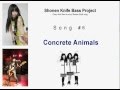 Shonen Knife Bass Project - Concrete Animals - Lesson