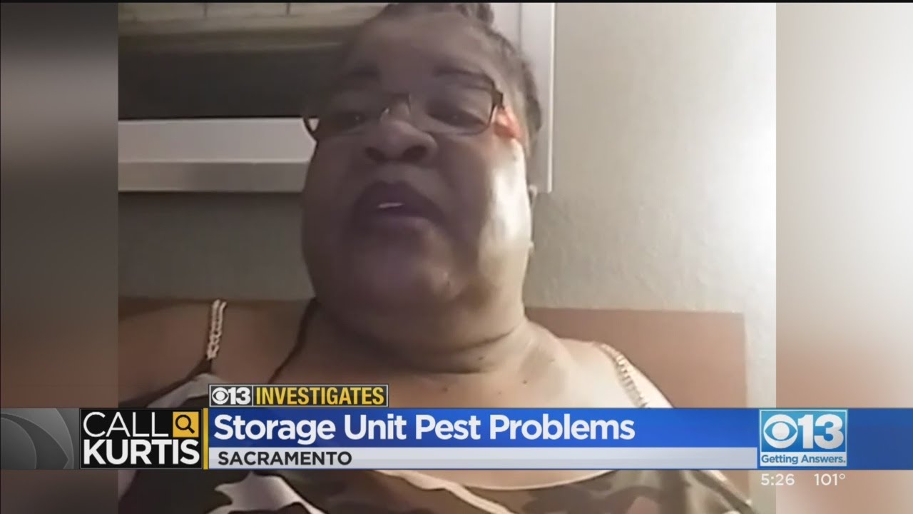 Storage Unit Infestation: Who Has To Pay?