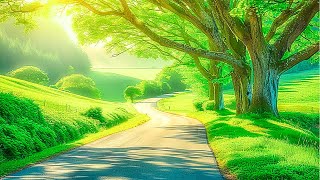 All your worries will disappear if you listen to this music🌿 Relaxing music calms your nerves #2