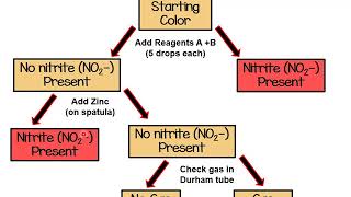 Quiz 4 information