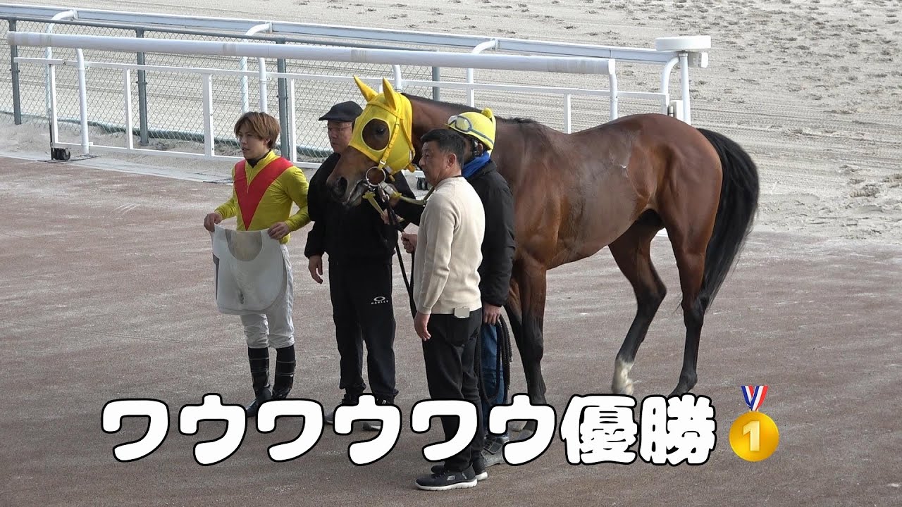 【現地撮影優勝レース】2026年2月12日名古屋競馬場5Rワウワウワウ&塚本征吾騎手