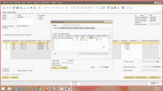 Gestión de Bancos Pagos Efectuados  Sap Business One