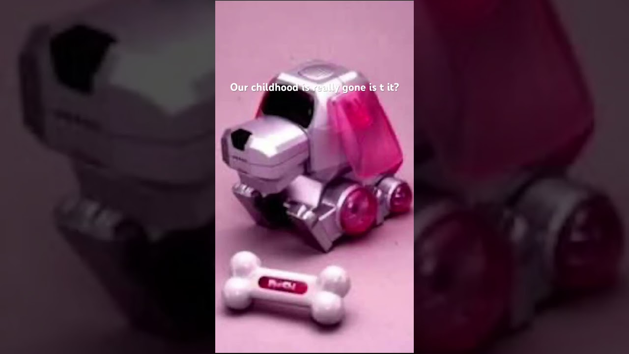 Things from the 90s that don’t exist anymore. 