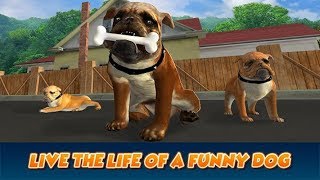 🐶Big City Bulldog Simulator 3D-Большой городской Бульдог-By Wild Animals Clan-Android screenshot 2
