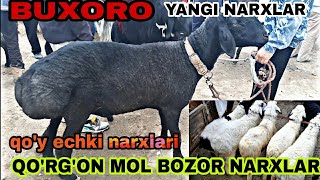 Qo'y echki narxlari BUXORO ROMETAN QO'RG'ON MOL BOZOR NARXLAR куй эчки нархлари БУХОРО РОМИТАН