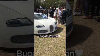 Choose your car #fypシ#bugatti#veyron#cars#automobile#ford#phonk#trending#koenigsegg#jesko