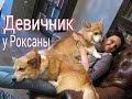 В гостях у Роксаны.Девичник. Vlog.