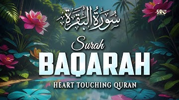 Surah Al-Baqarah سورة البقرة | HEART TOUCHING BEAUTIFUL Quran Tilawat for Healing, Barakah & Peace