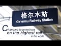 Live: Changing locomotives on world's highest railway line 世界海拔最高的高原铁路是如何换车头的?