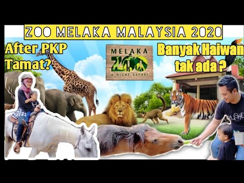Melaka online zoo Zoo Negara