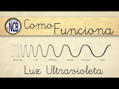 Vídeo: O que aparecerá sob a luz ultravioleta?