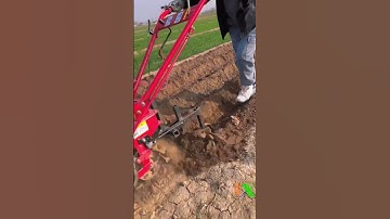 Nông nghiệp công nghệ cao, Tự động hóa trong sản xuất nông nghiệp