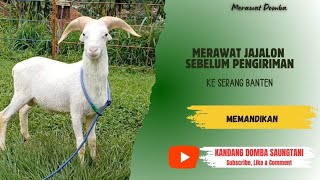 BATHING THE JAJALON BEFORE SENDING IT TO SERANG BANTEN