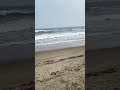 #travel #beachvibes #nature #song