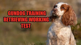 Gundog Training - Retrieving Working Test (Charity)