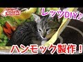 猫用ハンモックをDIY！子猫たちは気持ちよく寝てくれるのか？