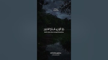 #قرآن #shortvideo #مقطع_قران #quran #صلاة_التراويح #ramadan #تلاوة_خاشعة #islam_video #اكسبلور