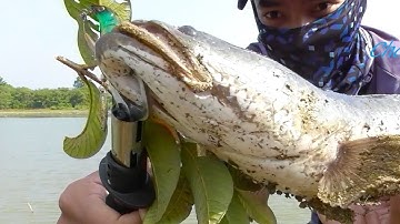 CÂU CÁ LÓC LÊN HÀNG KHỦNG SAU BAO NGÀY MÓM