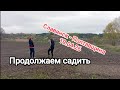 Садим всё большими объемами.