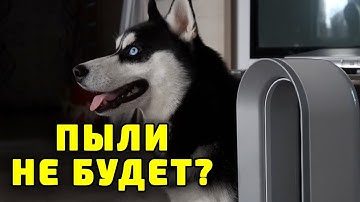 С ним в доме ЧИСТО Очиститель воздуха Dyson Pure Hot+Cool обогреватель вентилятор обзор