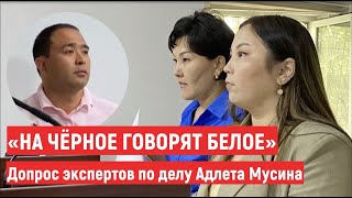 «На чёрное говорят белое». Допрос экспертов по делу Адлета Мусина