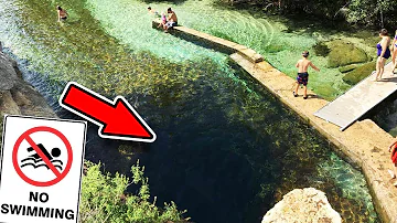 Co má olej z pšeničných klíčků na zdraví?