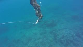 Spearfishing in  Ko’olina secret beach O’ahu Hawaii birthday cake 4  Jordan & Monét 6 4 2016 music