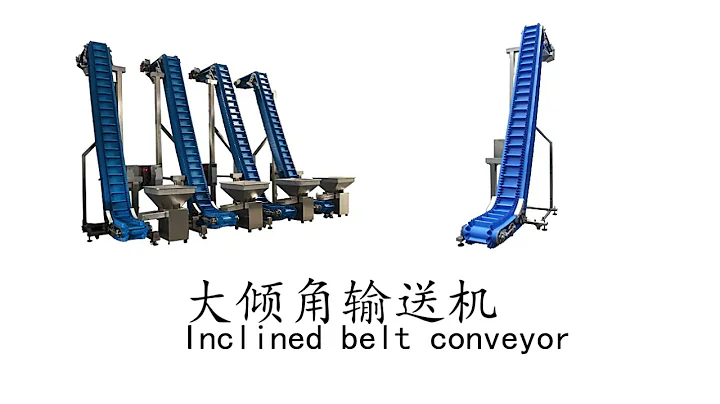 Chain Z Type Customize Bucket Elevator