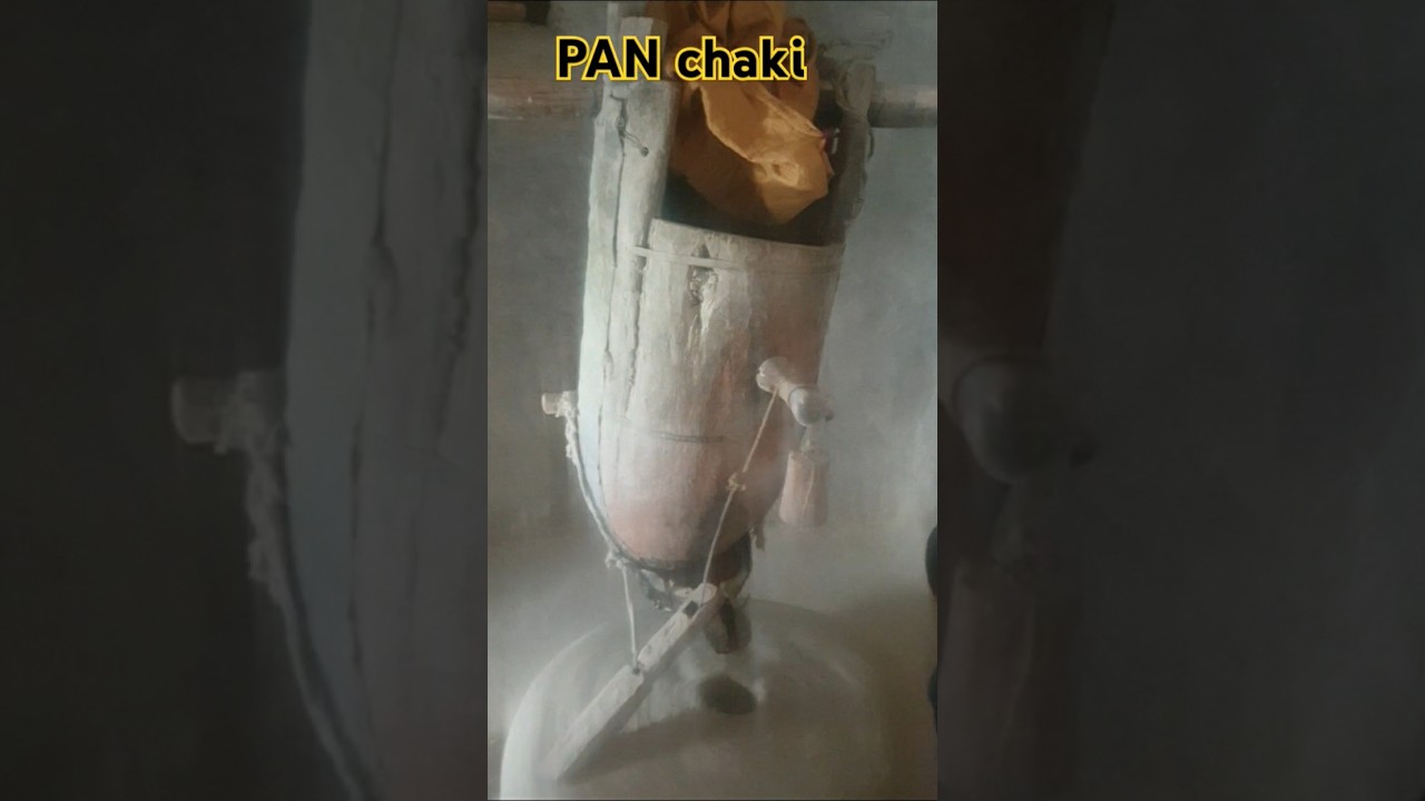 pan chaki in Seenlasht 