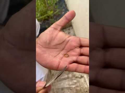 ام اربعه واربعين وانتبهوا منها خطيره