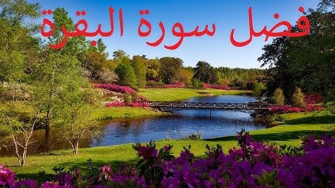 سوالف هيون و قصة اثروفضل سورة البقرة في تفريج الكرب
