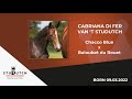 Cabriana di fer vant studutch