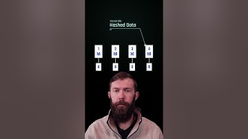 What Actually Are Merkle Trees?