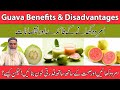 Benefits Disadvantages Of Guava Urdu Hindi Amrood Ke Fayde Aur Nuksan Al Razaqi Health Recover