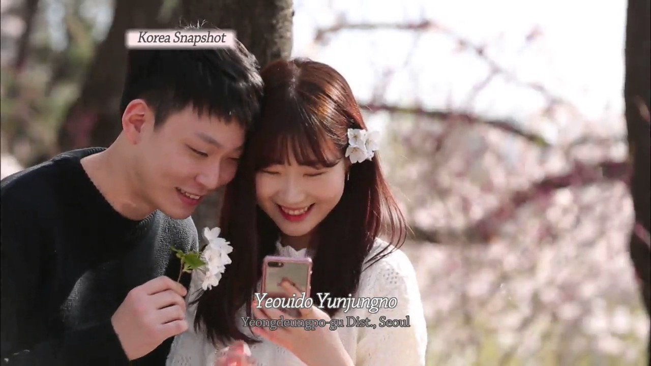 [Korea Snapshot] Yeouido Yunjungro YouTube