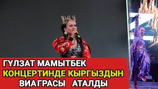 Гүлзат Мамытбек кыргыздын Виаграсы аталды