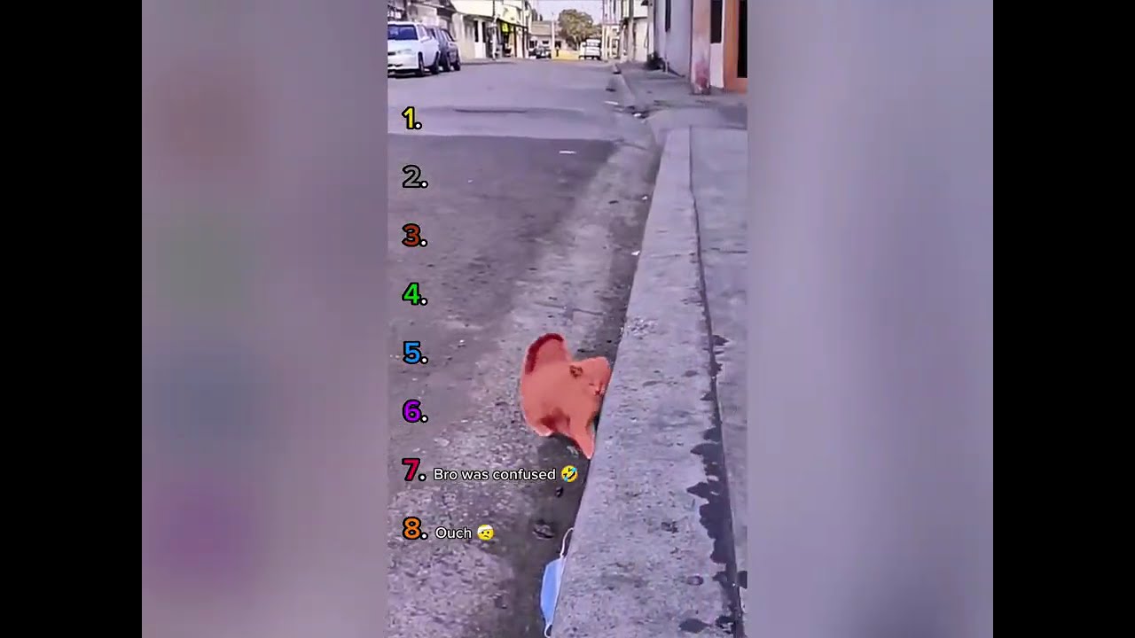 🤣👌👌👌2026 pov Must-Watch Crazy Clips Compilation 