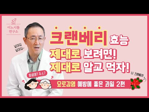 요로,방광에 좋은 크랜베리! 제대로 알고먹자 (※주의사항/ 크렌베리 2편)