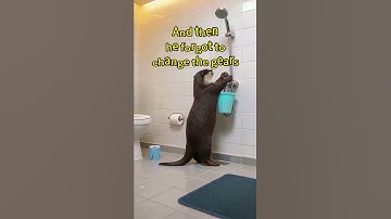 Does this happen to you, too? Speechless! 😂#funny #fail #otter #cuteanimals #Shorts