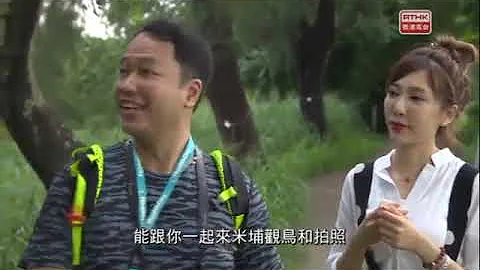 罪案呼吁-进入米埔沼泽区及内后海湾限制地区 - 天天要闻