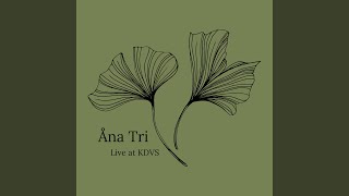 Tiny but Mighty (Live at KDVS)