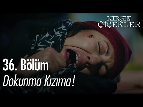 Meral ile Seher saldırıya uğruyor! - Kırgın Çiçekler 36. Bölüm