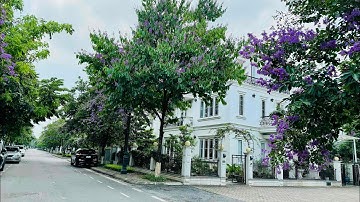 Bán gấp biệt thự Splendora - Bắc An Khánh. DT: 270m2,căn góc, giá rẻ nhất thị trường. ☎️: 0352216868